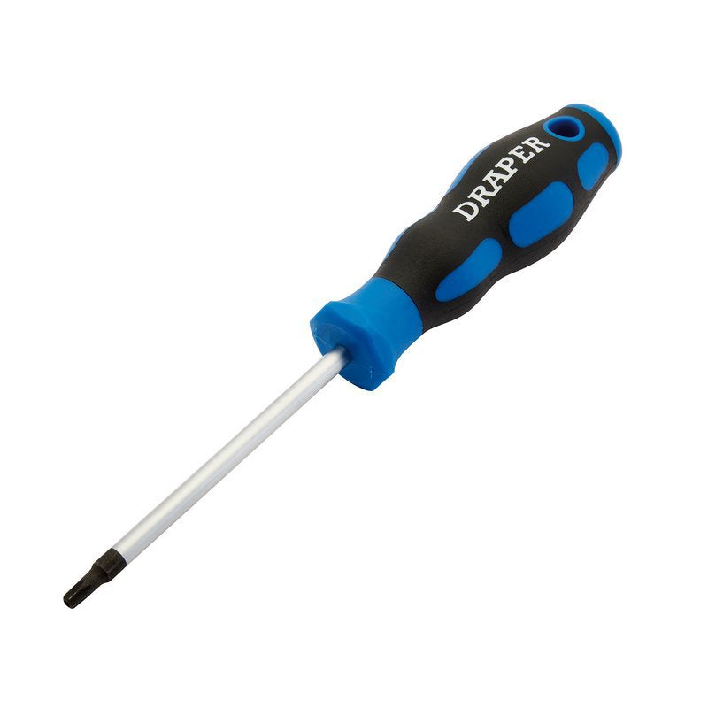 Draper TX-STAR Soft Grip Security Screwdriver, T25 Main Image