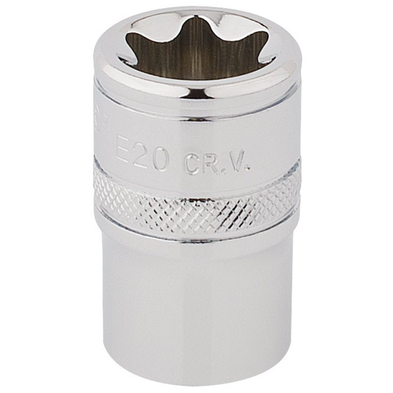 Draper TX-STAR Socket, 1/2" Sq. Dr., E20 Main Image