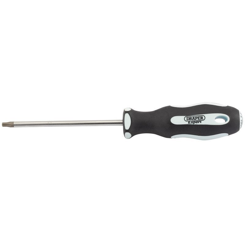Draper Expert TX-STAR Soft Grip Screwdriver, T20 x 100mm Main Image