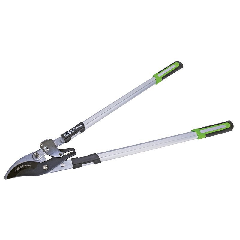 Draper Expert Ratchet Action Bypass Pattern Loppers, 750mm Main Image